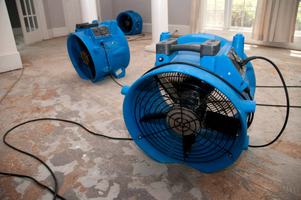 Best 24/7 water damage repair  in Hillsboro Beach, FL